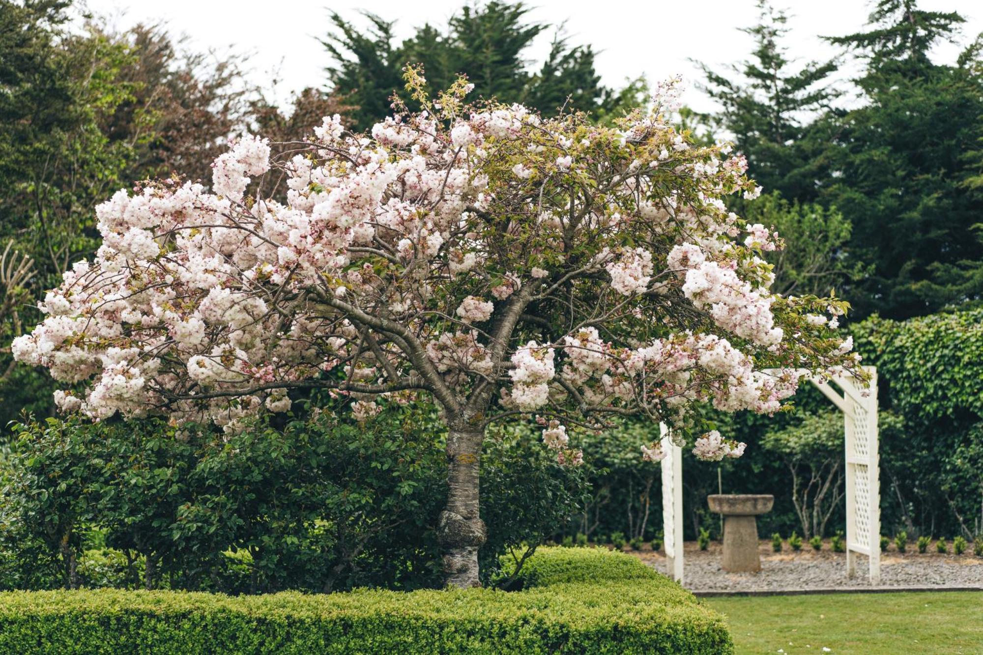 Brackenridge Country Retreat & Spa Martinborough Εξωτερικό φωτογραφία