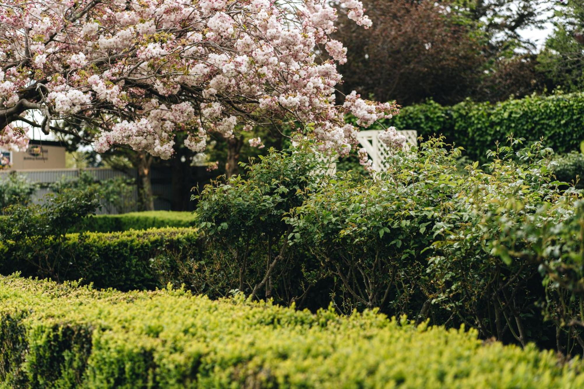 Brackenridge Country Retreat & Spa Martinborough Εξωτερικό φωτογραφία