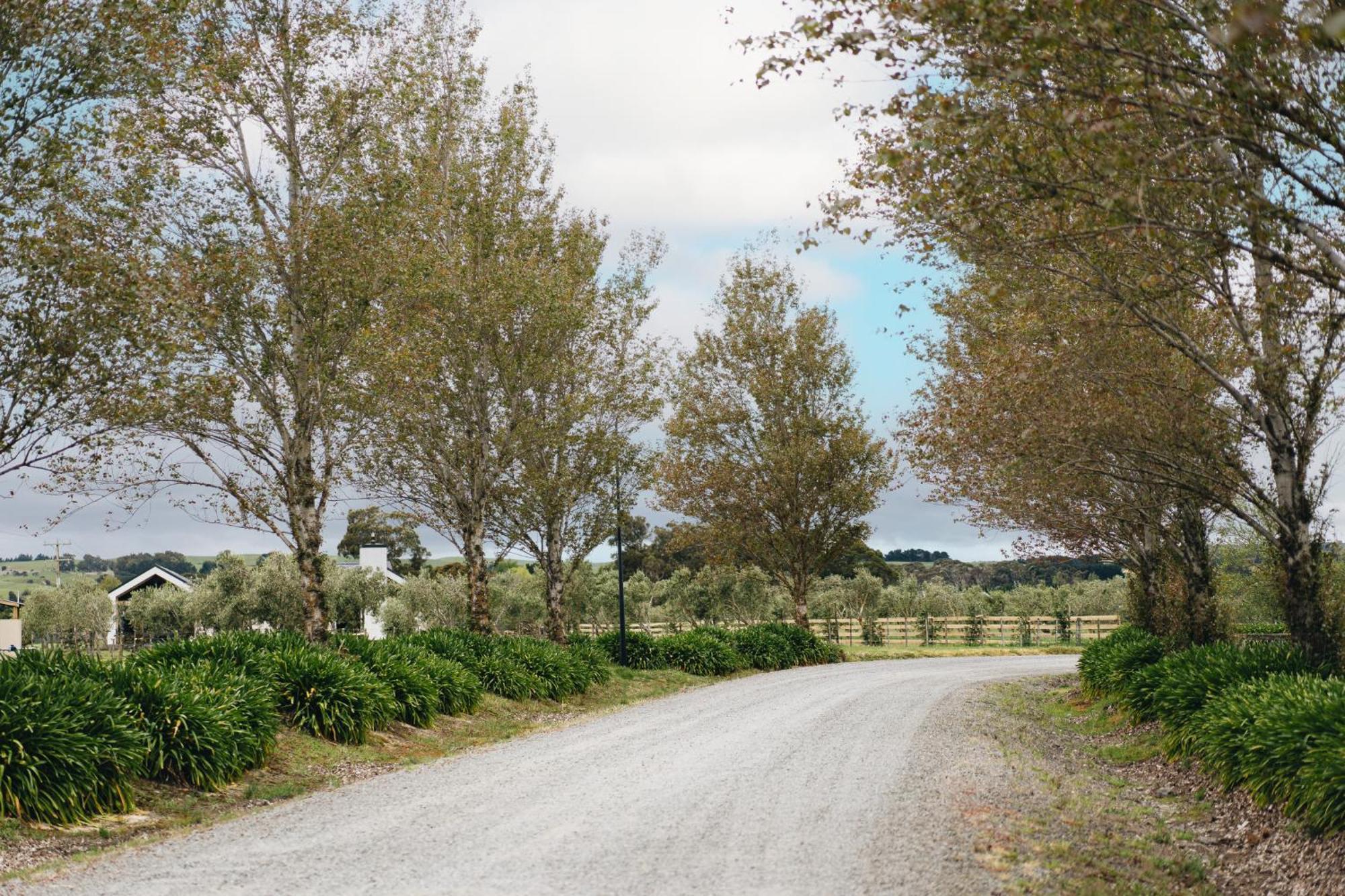 Brackenridge Country Retreat & Spa Martinborough Εξωτερικό φωτογραφία